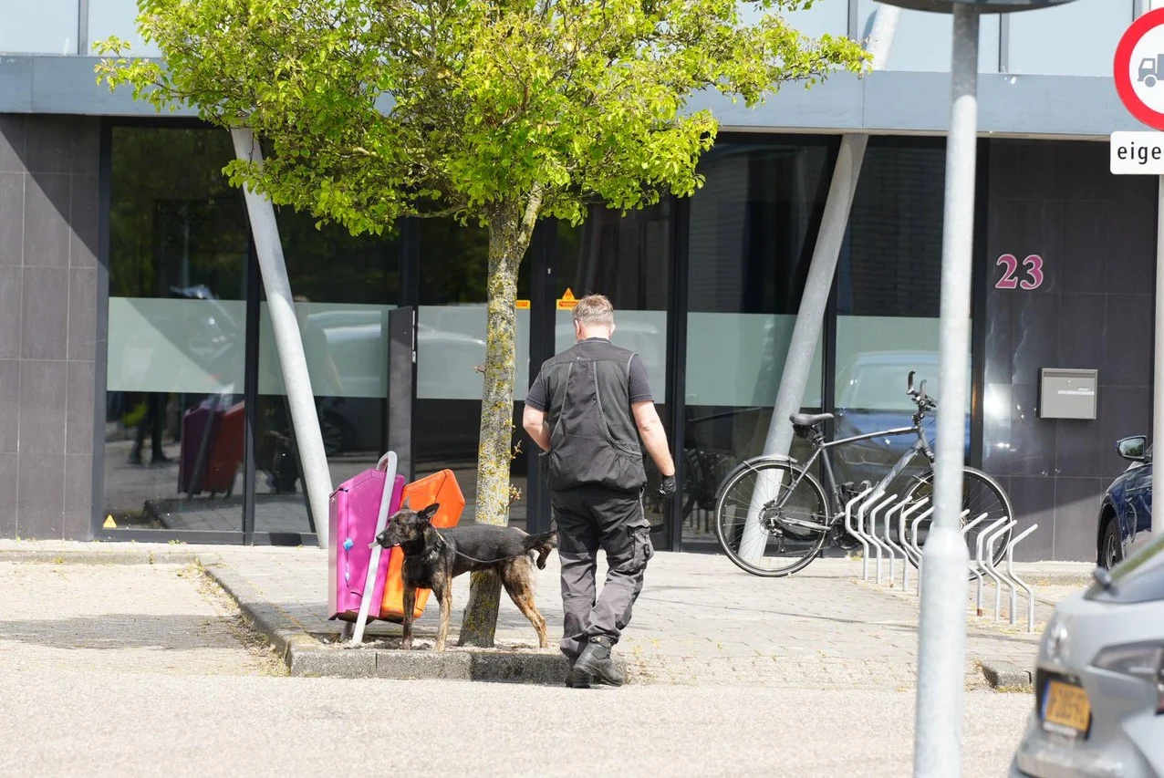 https   cdn kiosk api 1